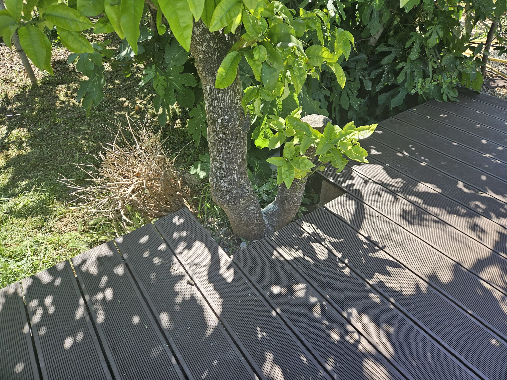 Renovation work image 23